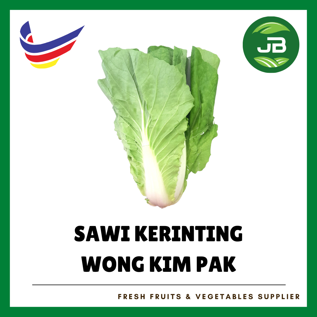 SAWI KERINTING (WONGKAMPAK)黄金白