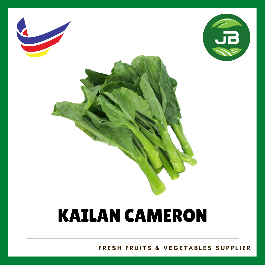 KAILAN 芥蓝_0