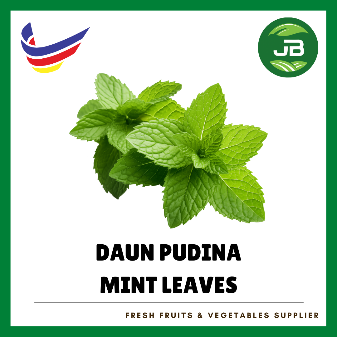DAUN PUDINA 薄荷叶_0