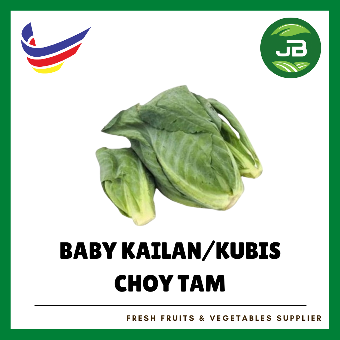 BABY KOBIS 包菜旦 (CHOY TAM)_0
