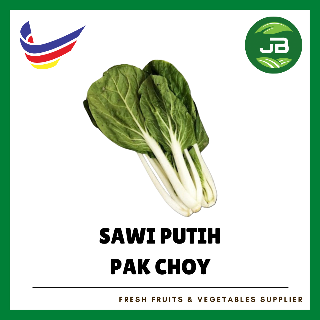SAWI PUTIH 白菜_0