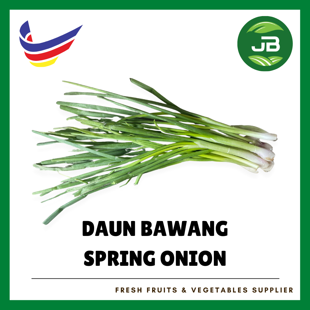 DAUN BAWANG 生葱_0