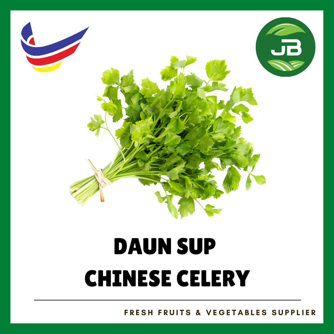 DAUN SUP 芹菜_0