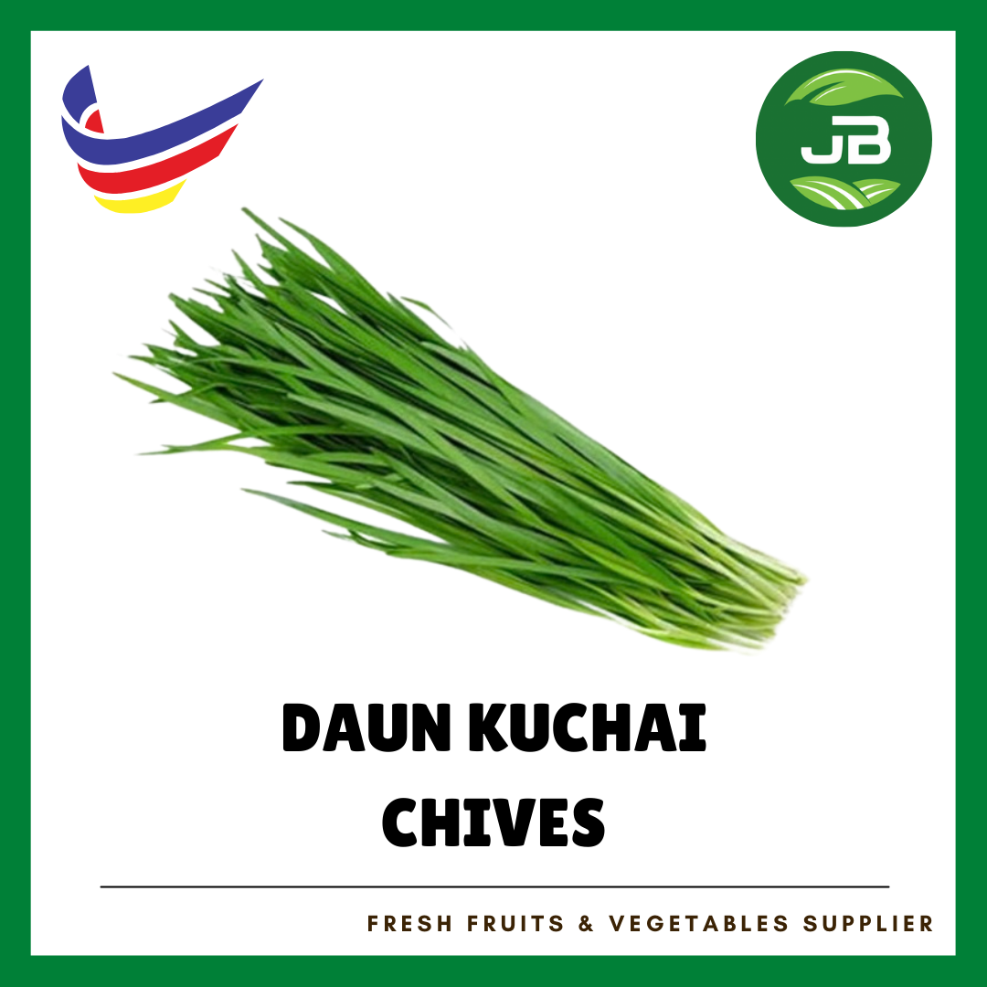 DAUN KUCAI 韭菜_0
