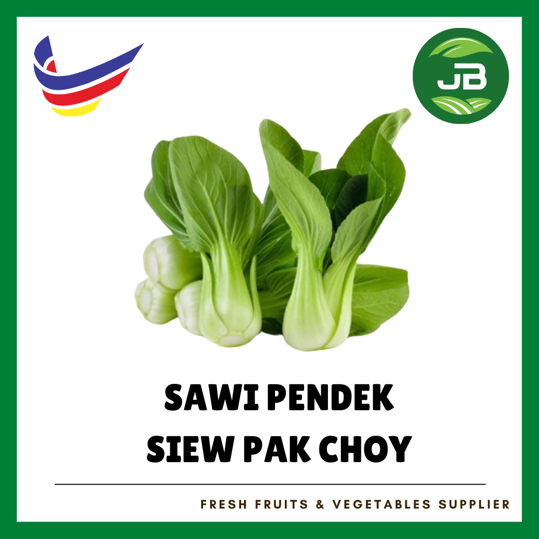 SAWI PENDEK (SIEW PAK CHOY) 小白菜_0