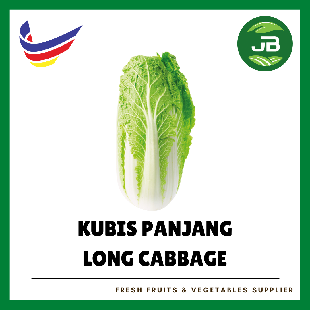KOBIS PANJANG 长白菜_0