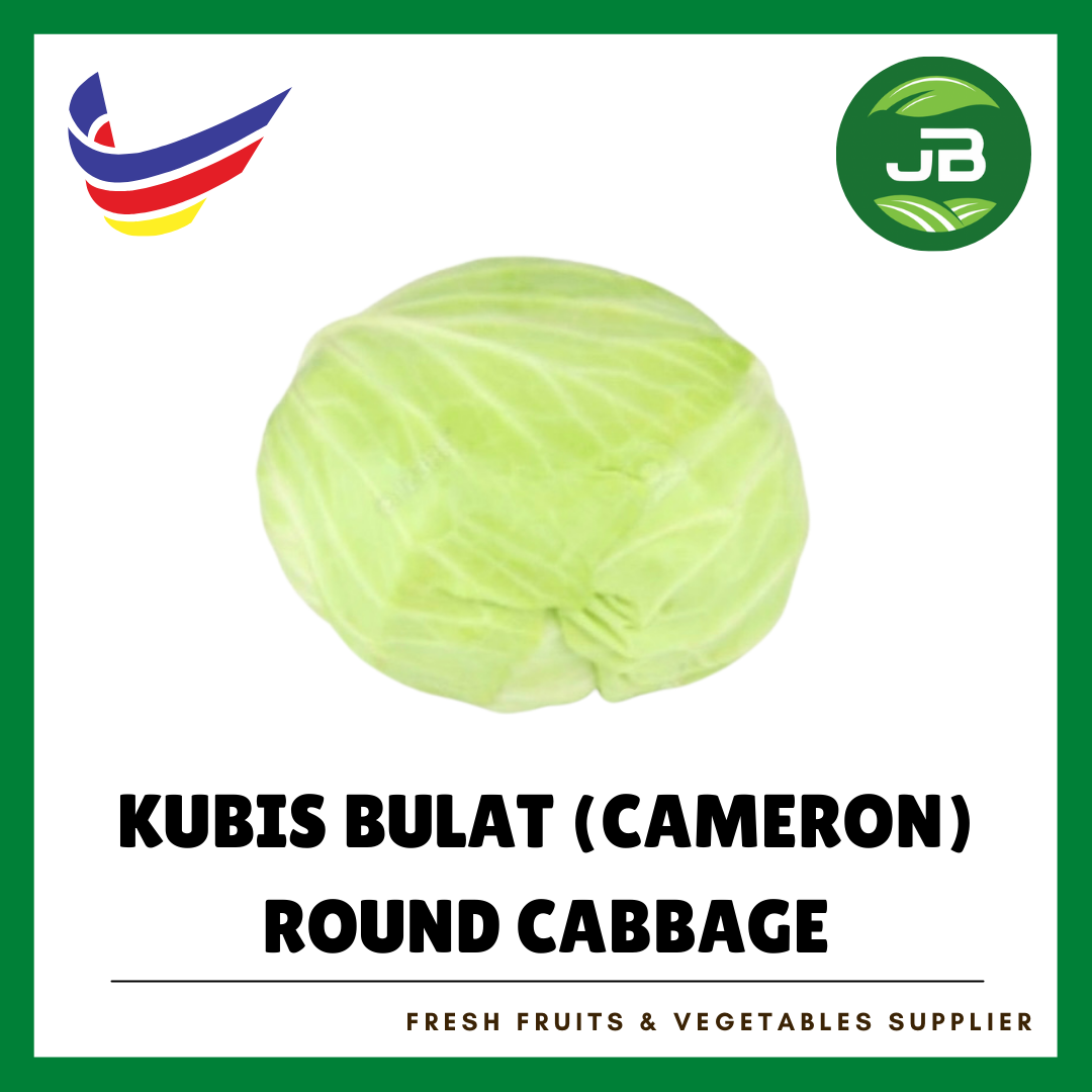 KOBIS BULAT CAMERON 金马伦包菜_0