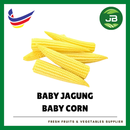 JAGUNG MUDA 玉米心