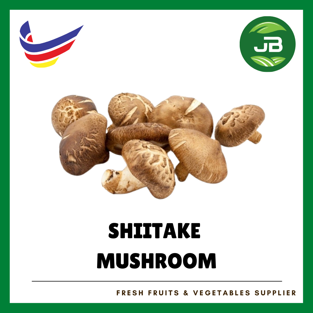 SHIITAKE_0