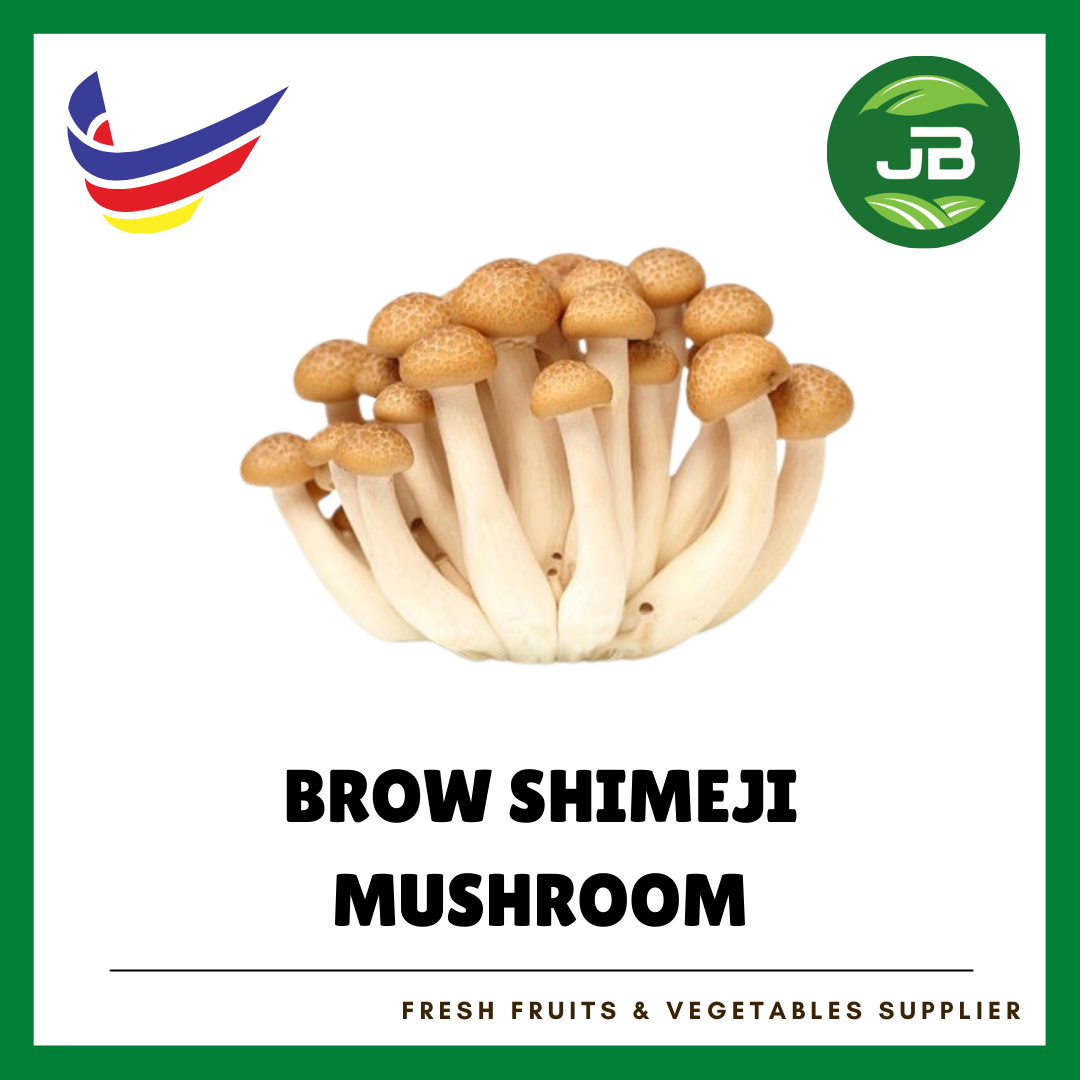 BROWN SHIMEJI_0