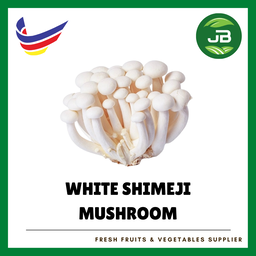 WHITE SHIMEJI