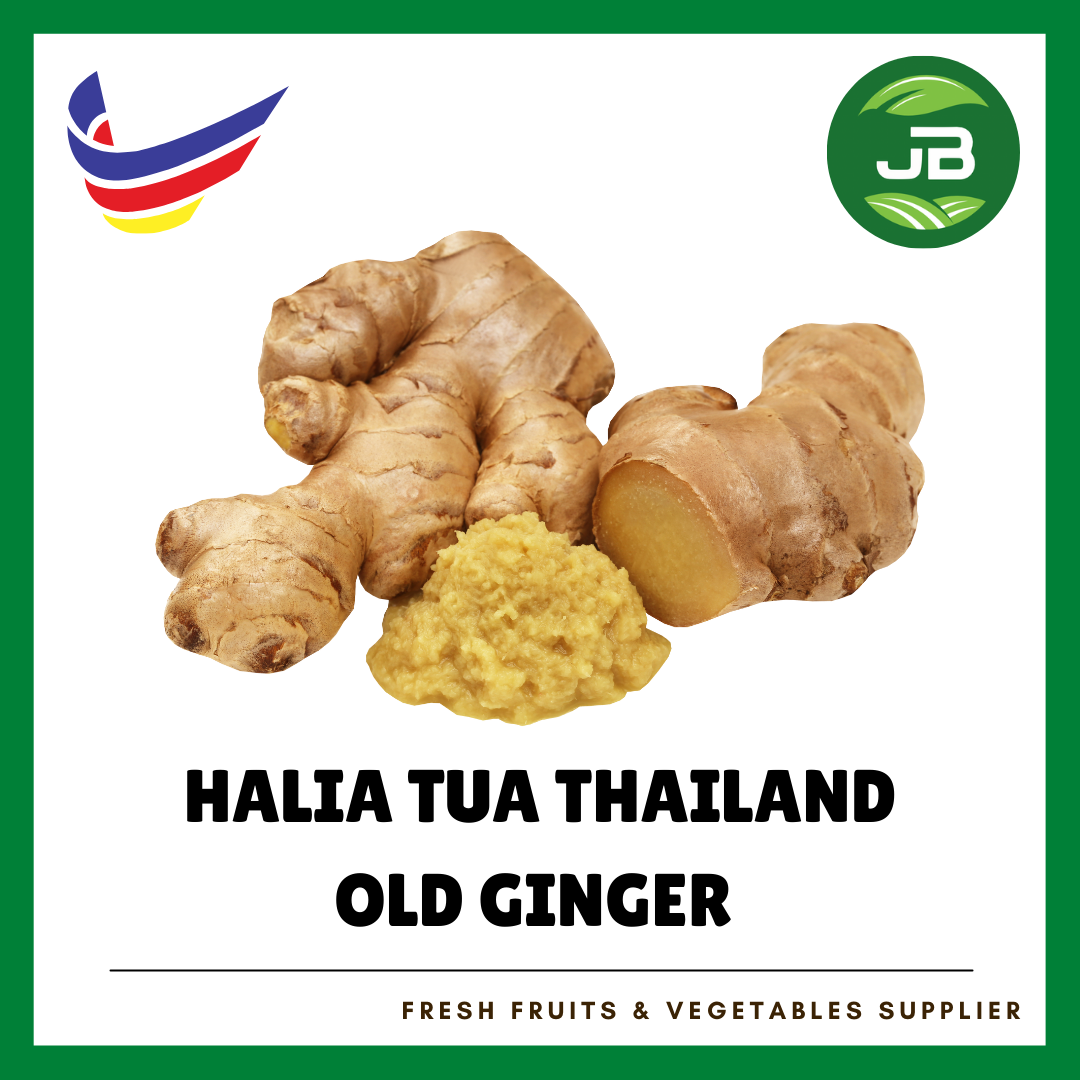 HALIA TUA THAILAND 泰国老姜