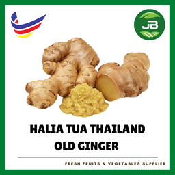HALIA TUA THAILAND 泰国老姜