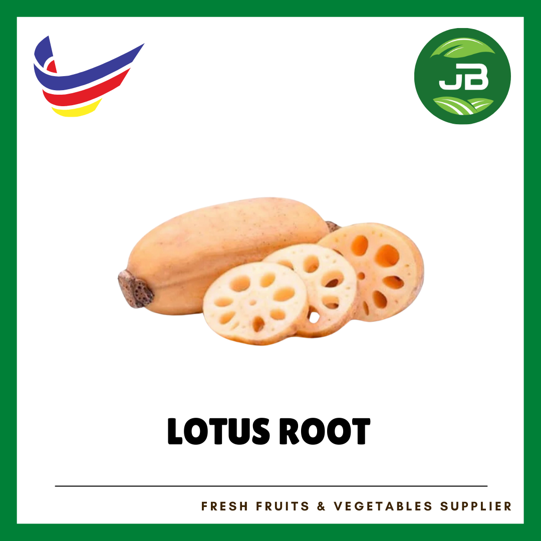 LOTUS ROOT_0