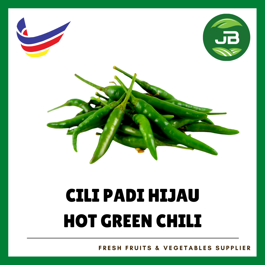 CILI API HIJAU 青米椒_0