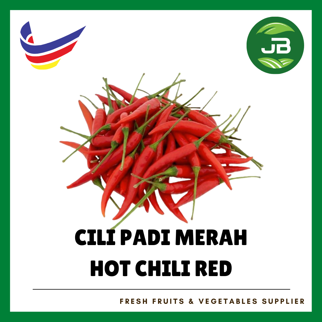 CILI API MERAH 红米椒