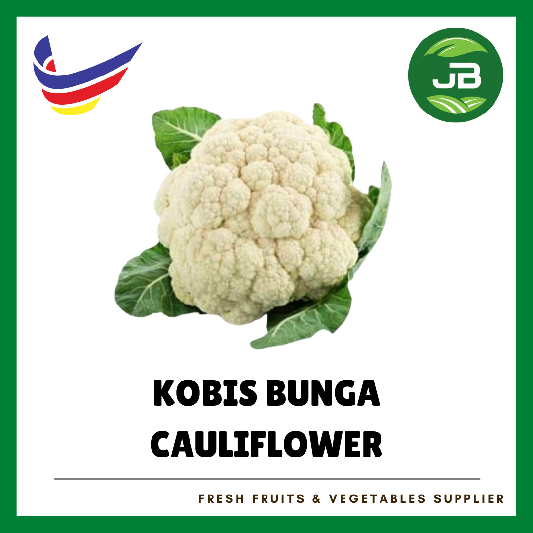KOBIS BUNGA 白花