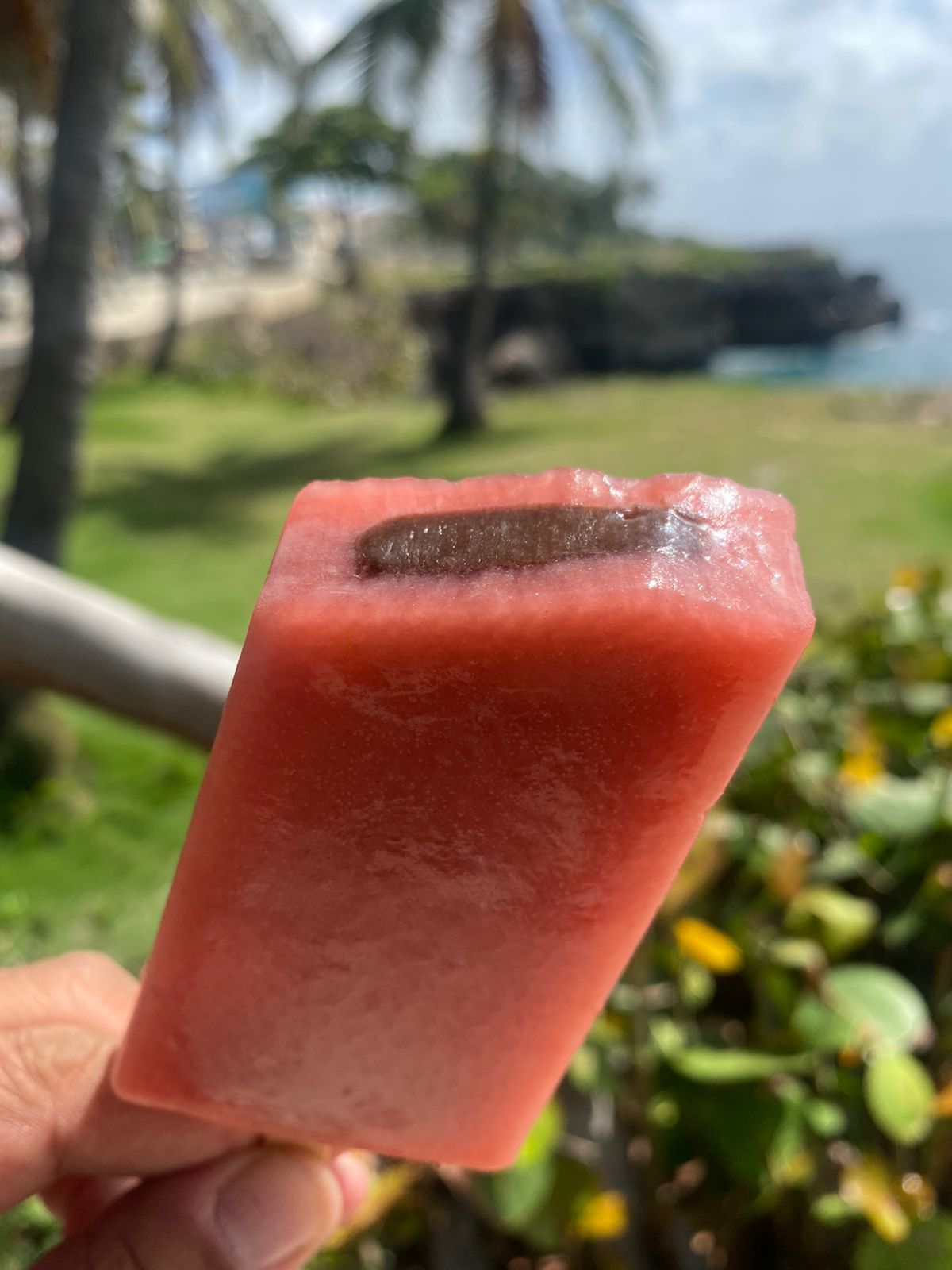 Paleta de Fresa Rellena de Nutella_0