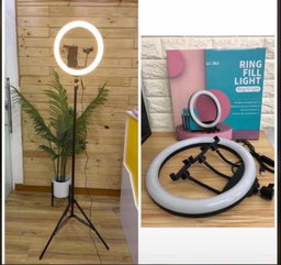 Lightings 