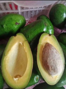 Avocado 