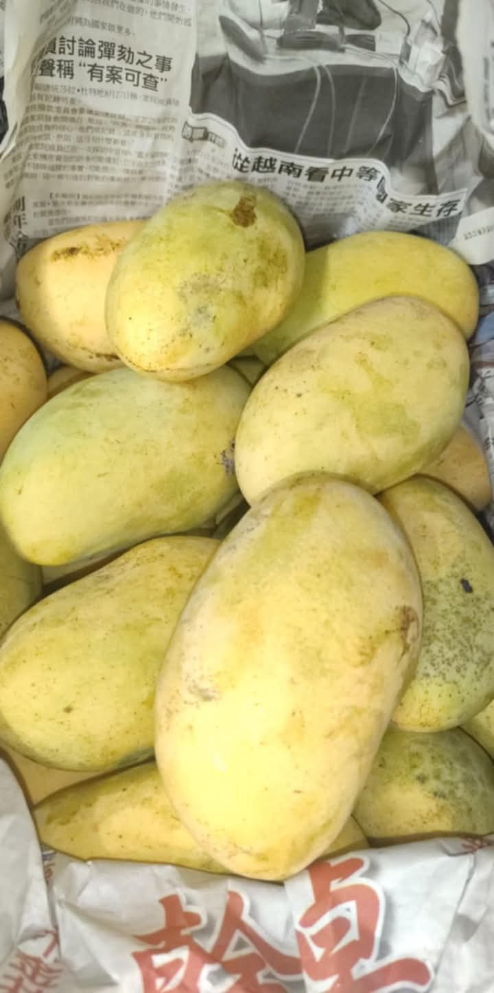 Native mango 