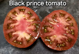 🍅BLACK PRINCE TOMATO🍅 x 15 seeds 