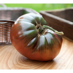 🍅BLACK PRINCE TOMATO🍅 x 15 seeds 