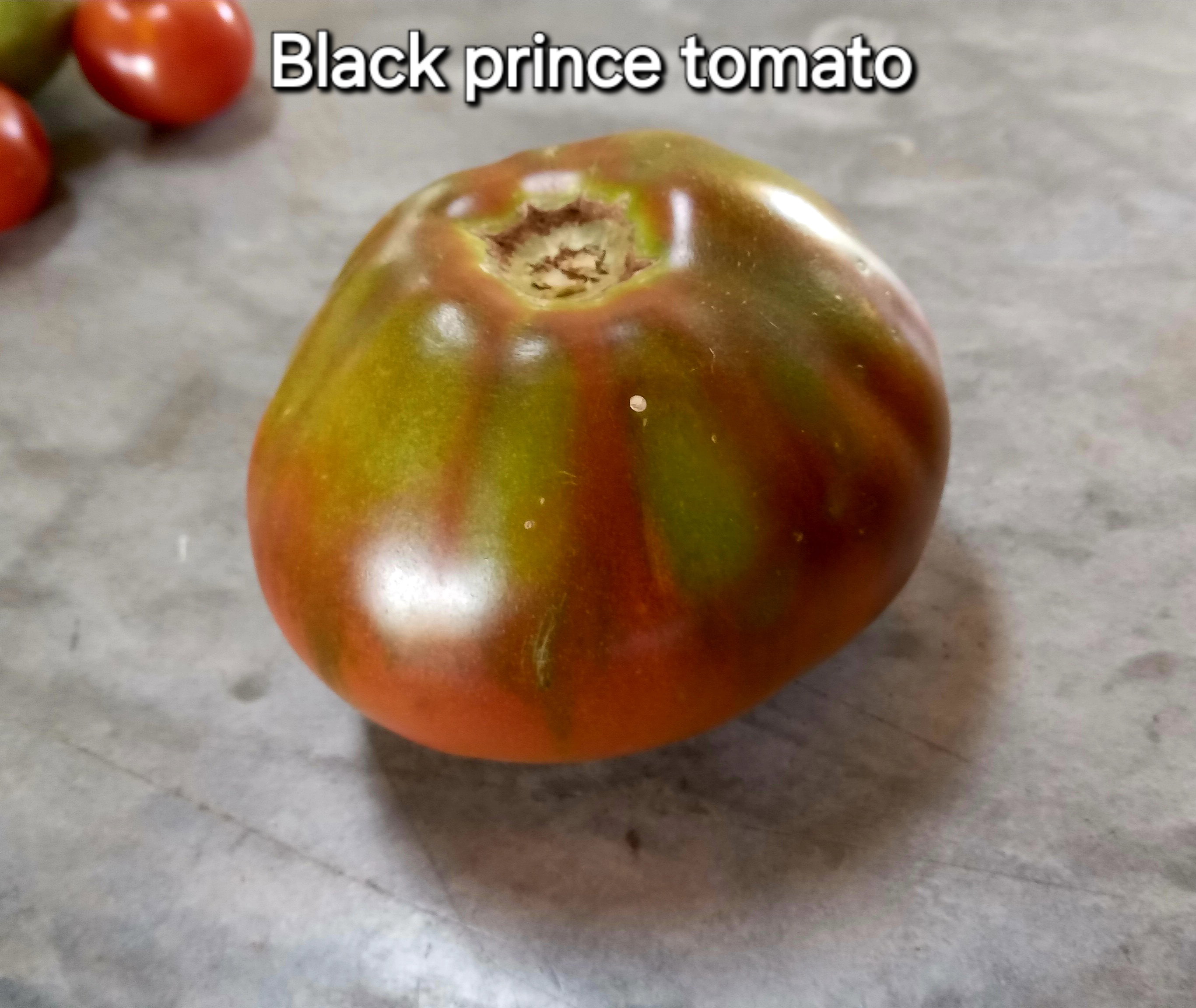 🍅BLACK PRINCE TOMATO🍅 x 15 seeds _6