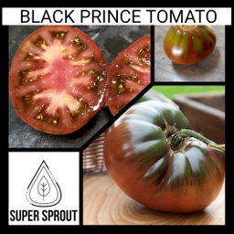 🍅BLACK PRINCE TOMATO🍅 x 15 seeds 