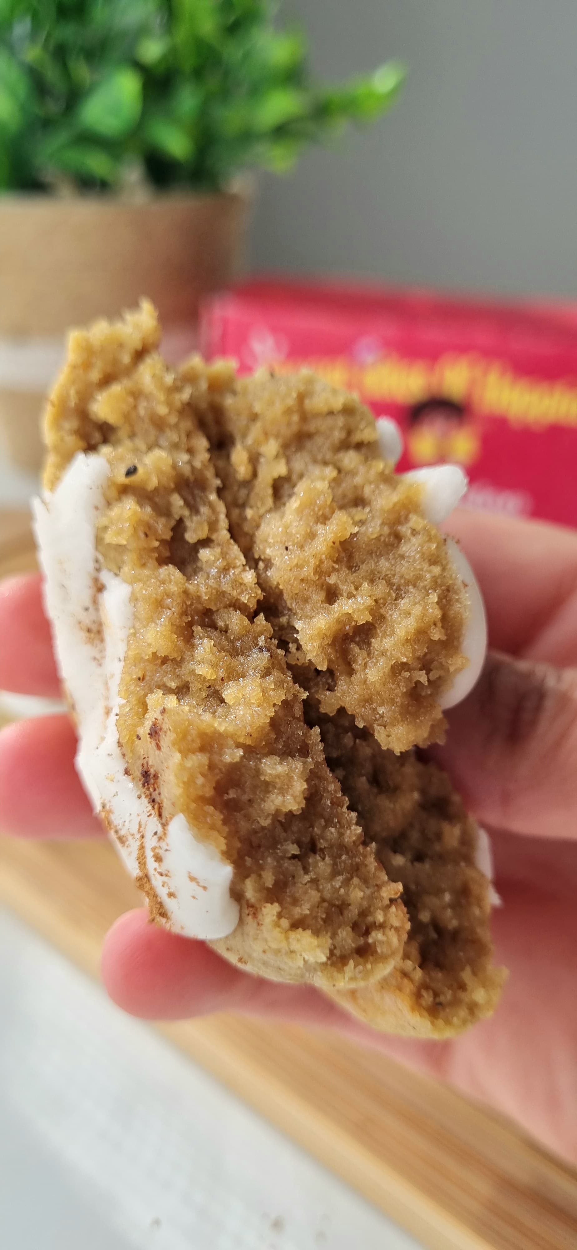 Ginger Cookie_3