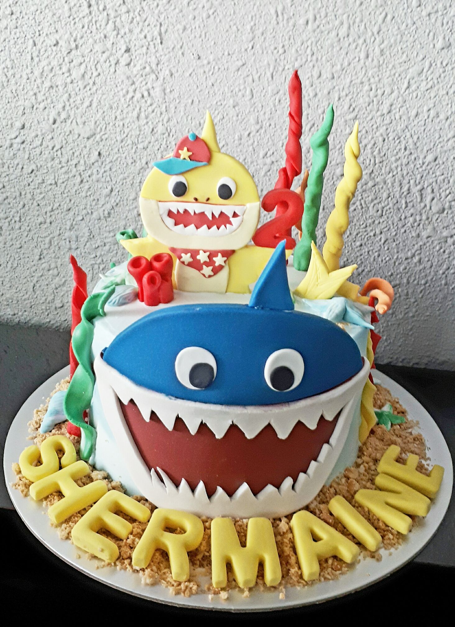 Customised Cakes_21