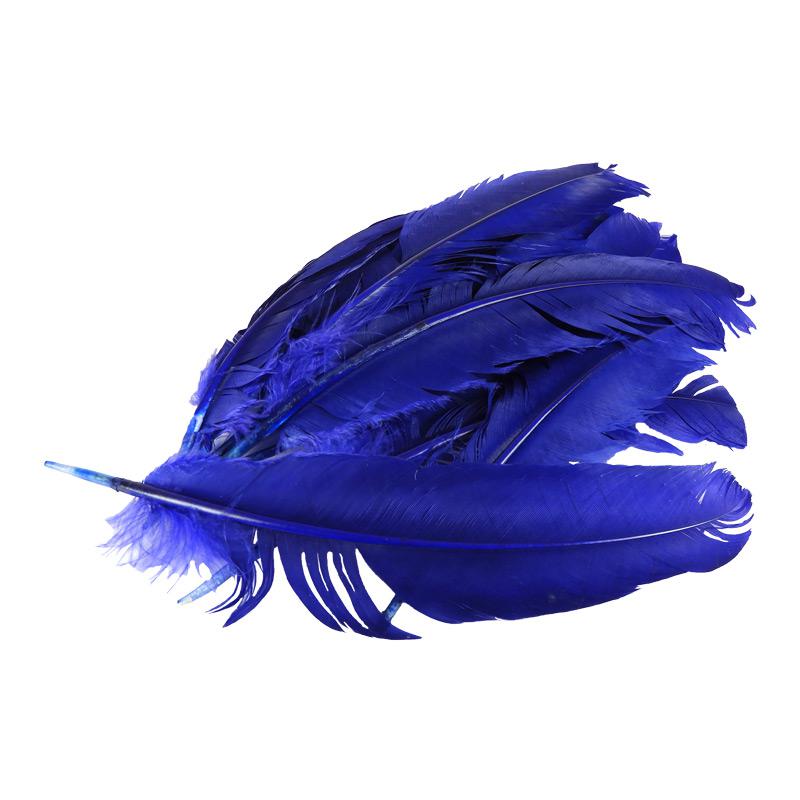 Pluma de Gallo Azul Rey 10gr (9 Plumas 17cm)_0