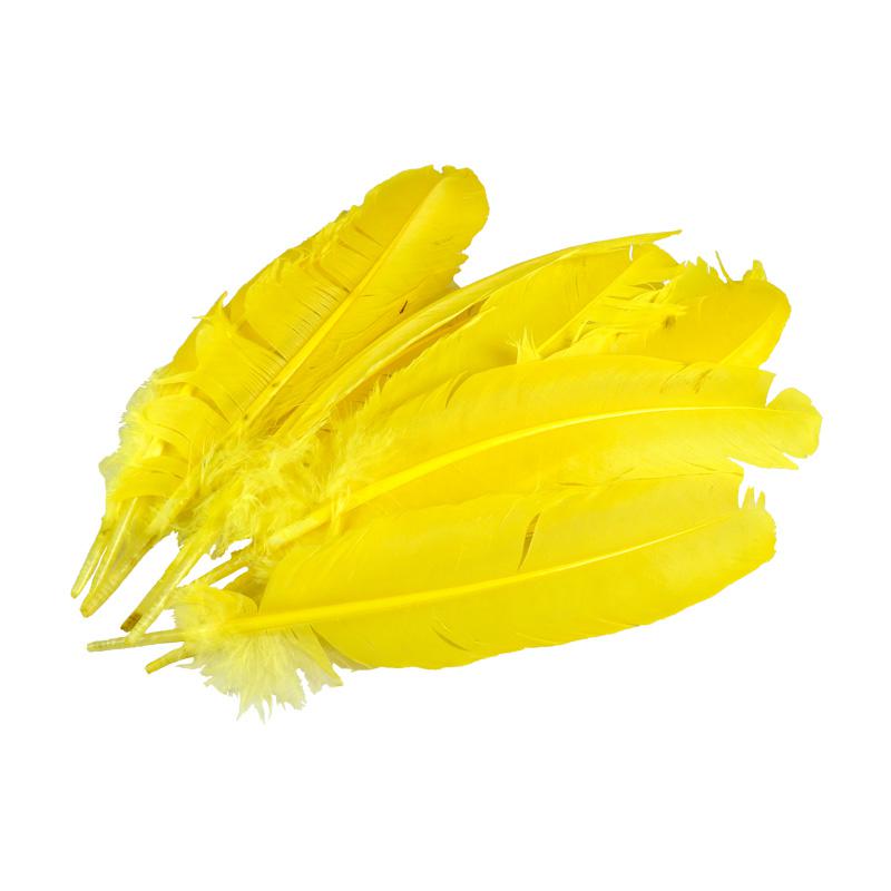 Pluma de Gallo Amarilla 10gr (9 Plumas 17cm)