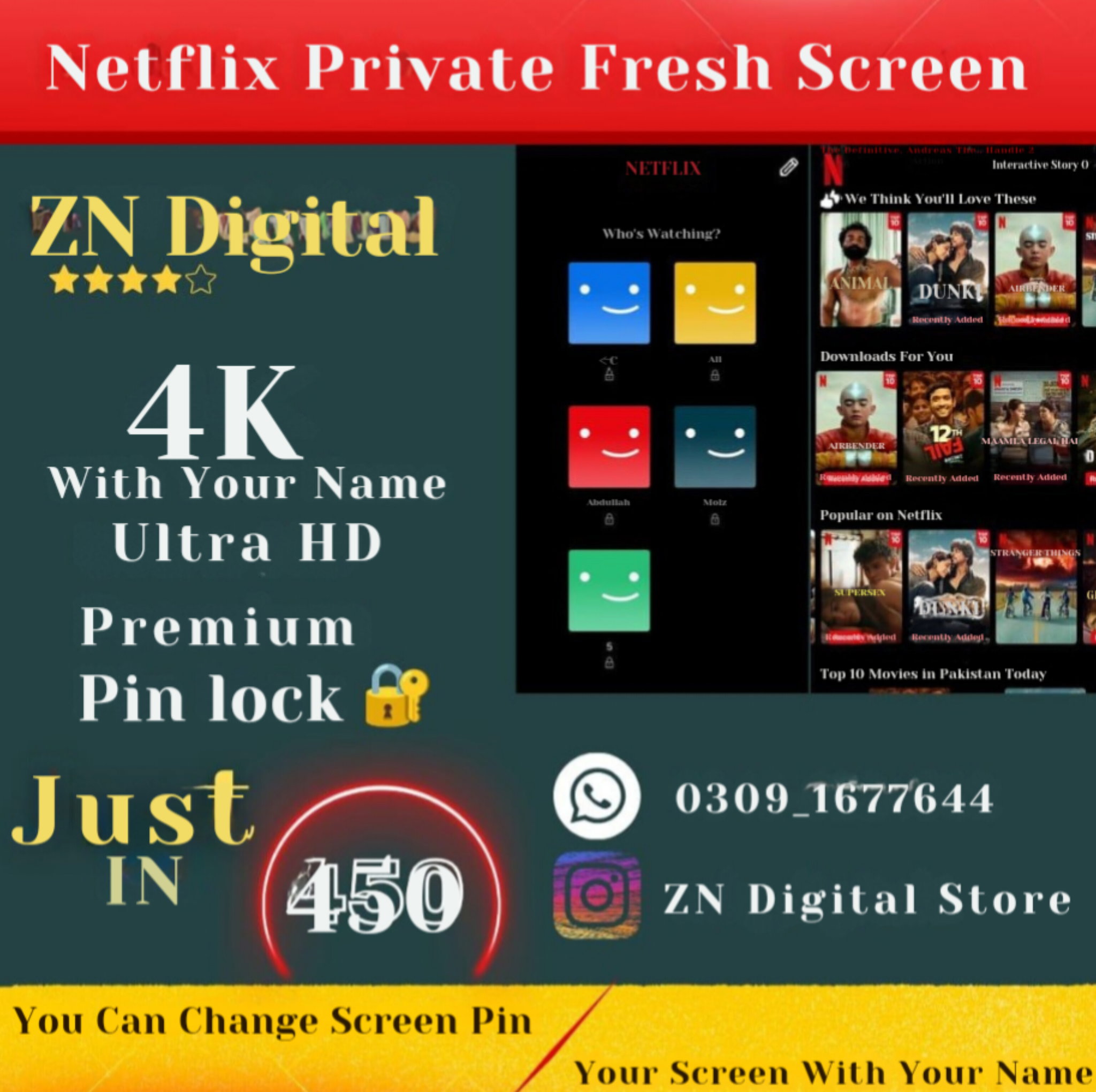 Netflix Screen_0