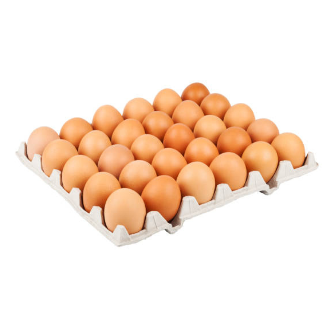 Premium Brown Chicken Eggs_0