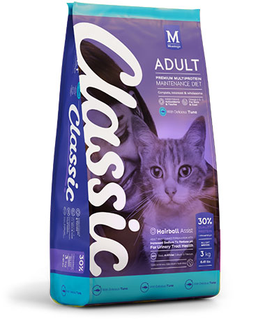 Classic Adult Cat_0