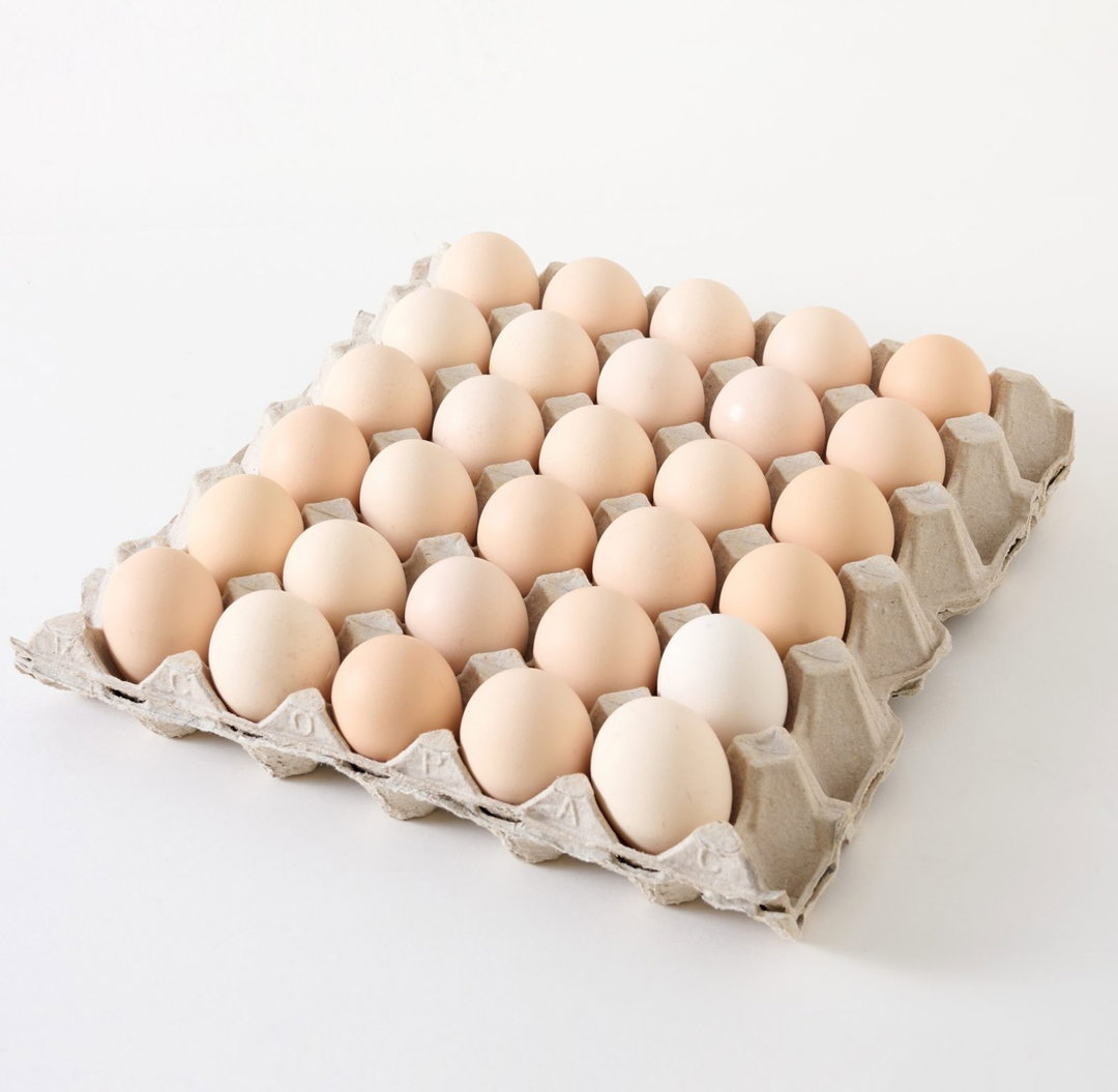 Kampong Chicken Eggs
