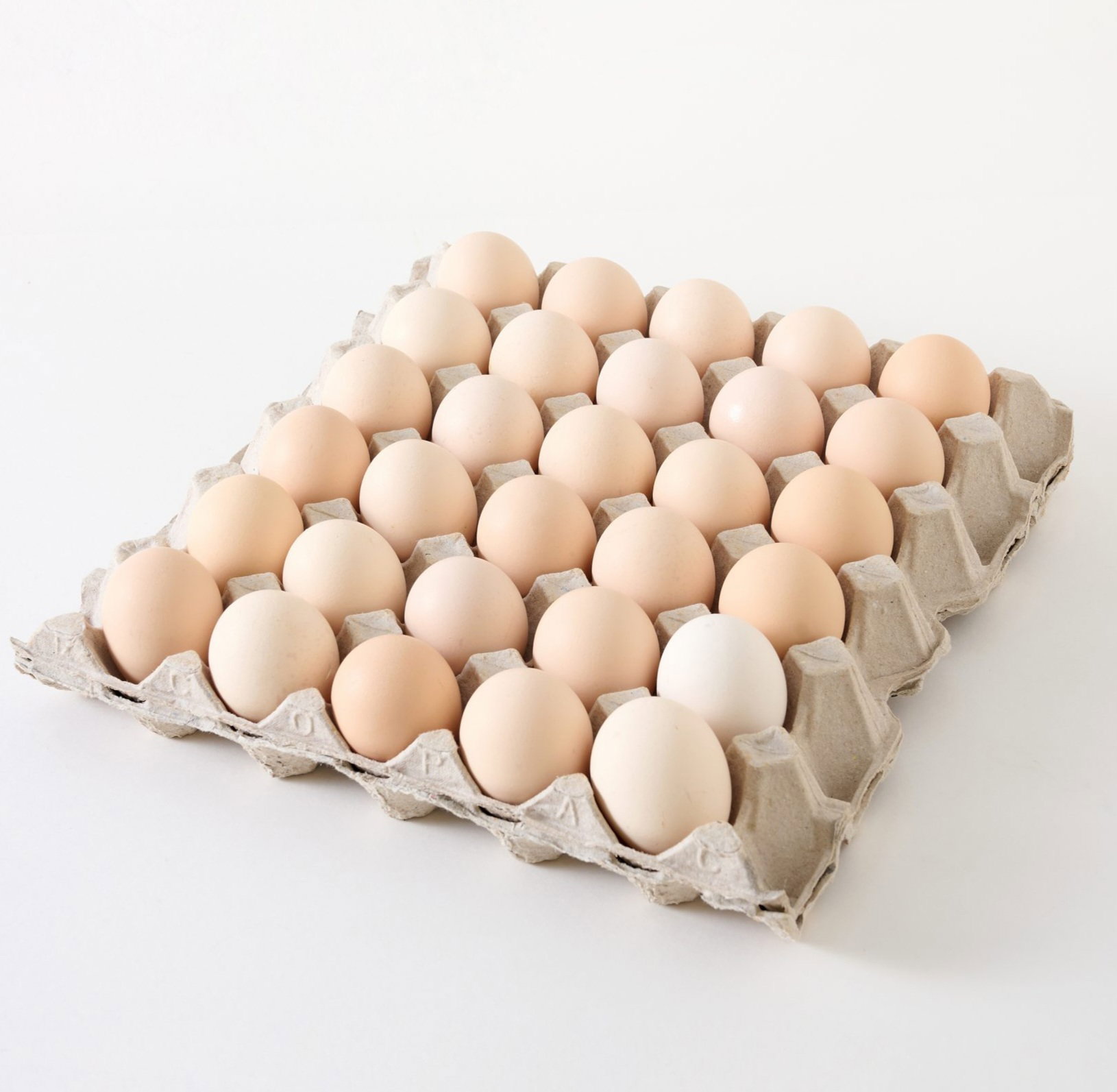 Kampong Chicken Eggs_0