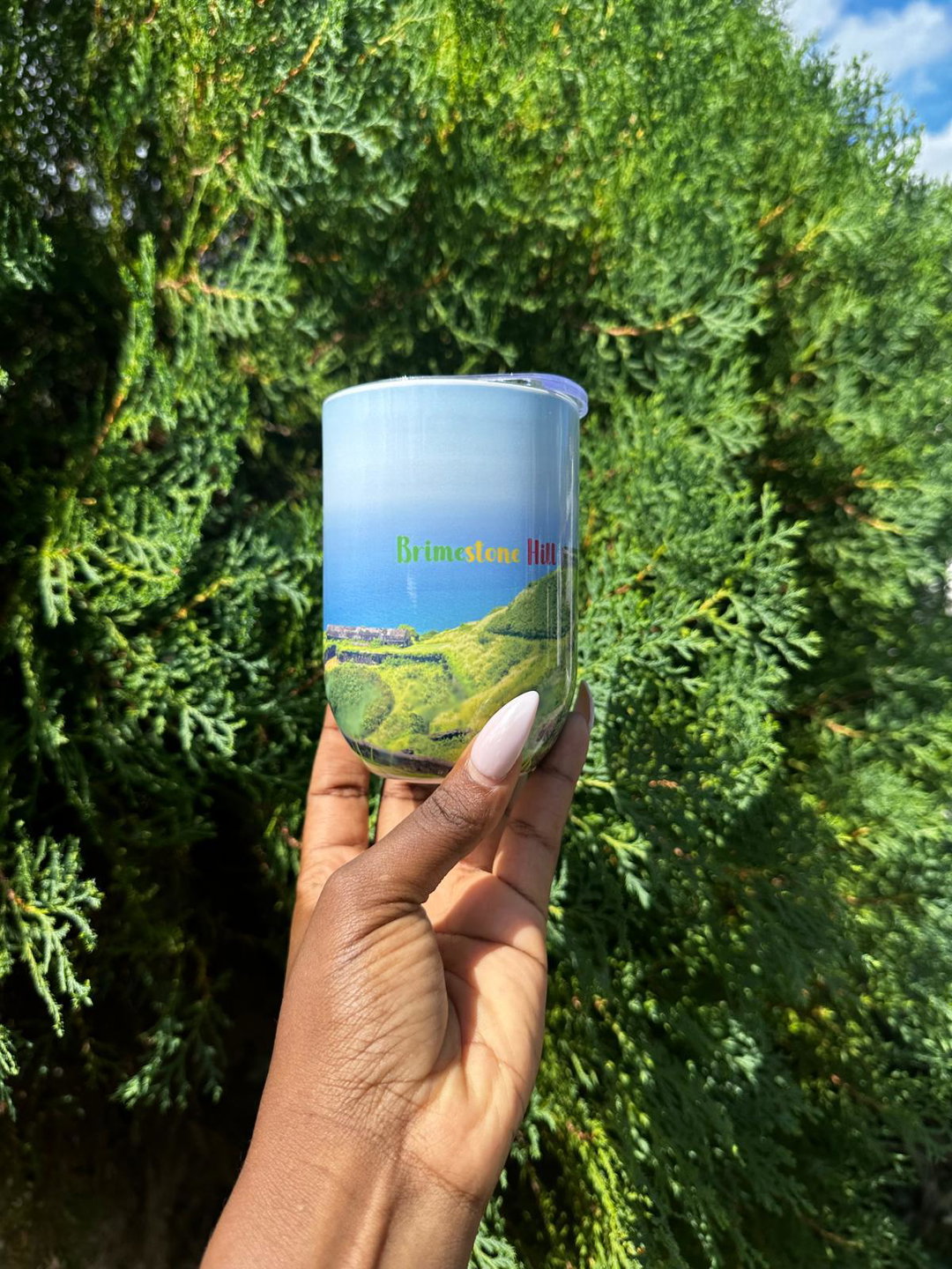 12oz  Straight wine tumbler