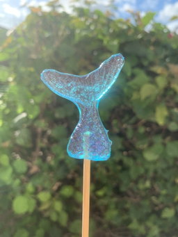 Small shaped lollipop