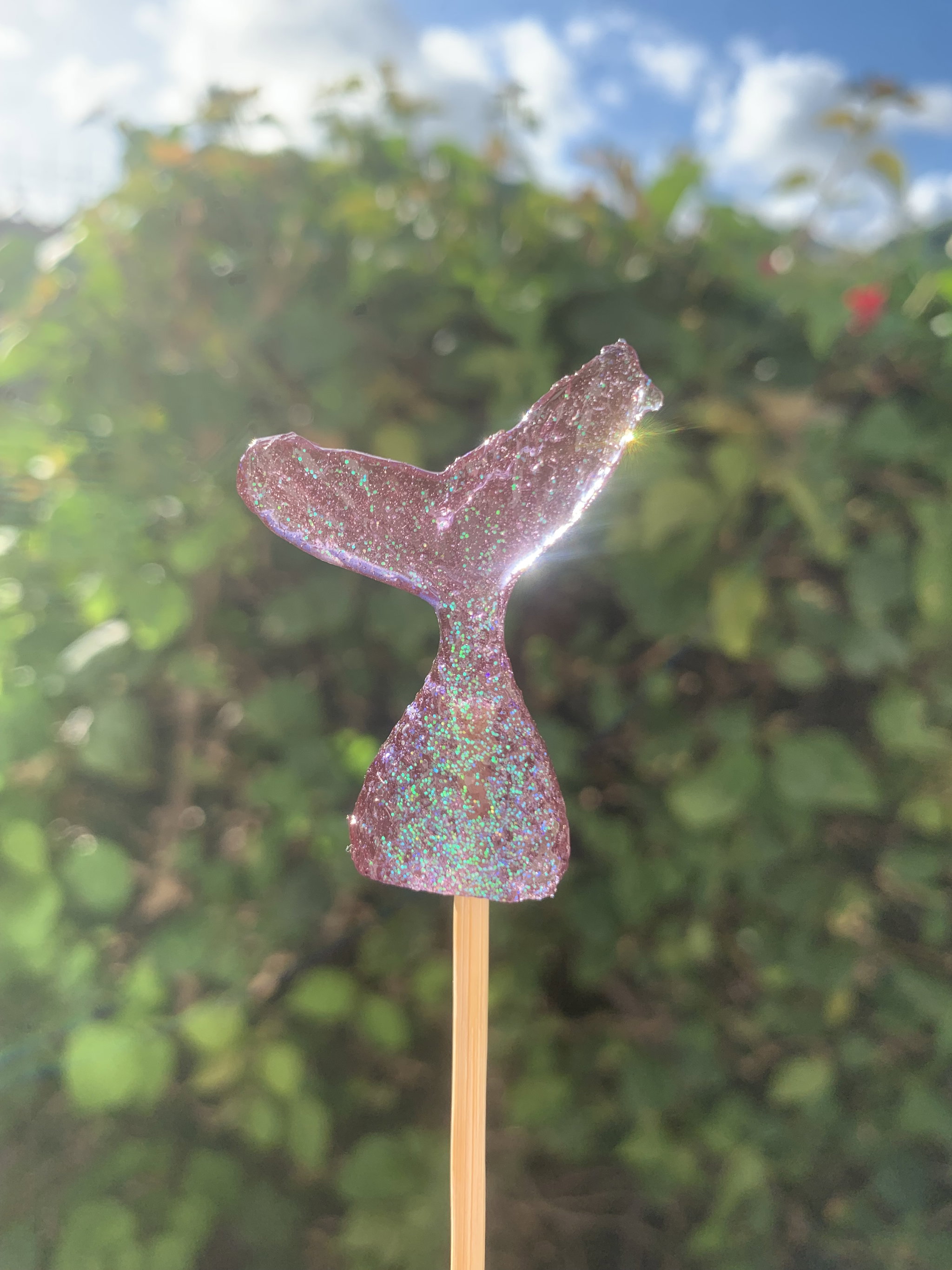 Small shaped lollipop_0