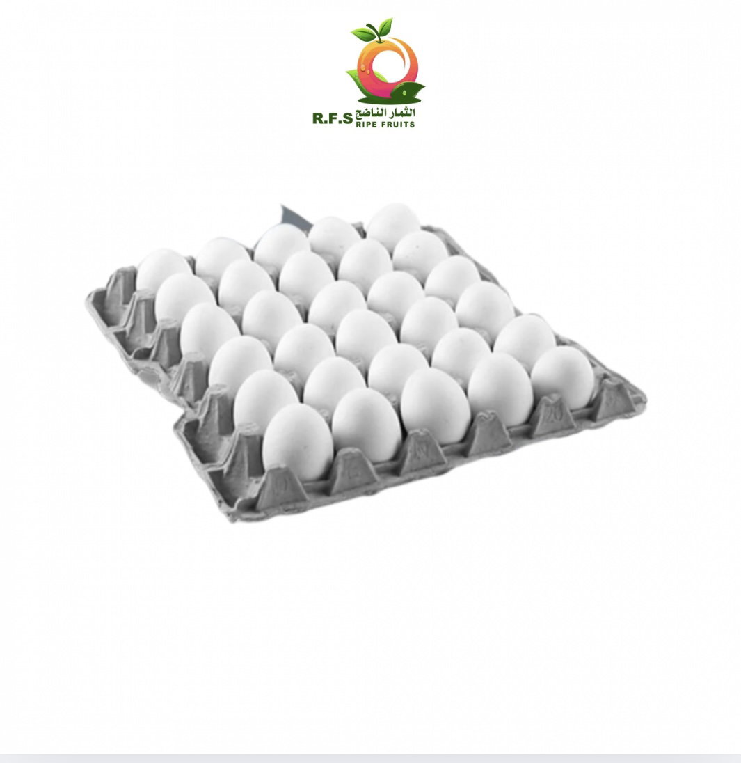 Rahamla eggs large size بيض رحملا الحجم الكبير