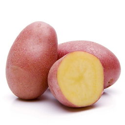 خضر وفواكه