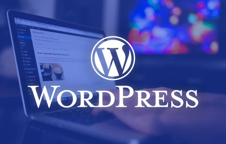 Wordpress Web Development