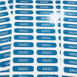 Back To School Name Stickers (1 Pack - 28pcs - 1.2cm x 3.5cm)