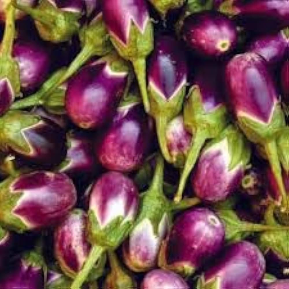 Red Brinjal
