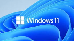 Windows 11