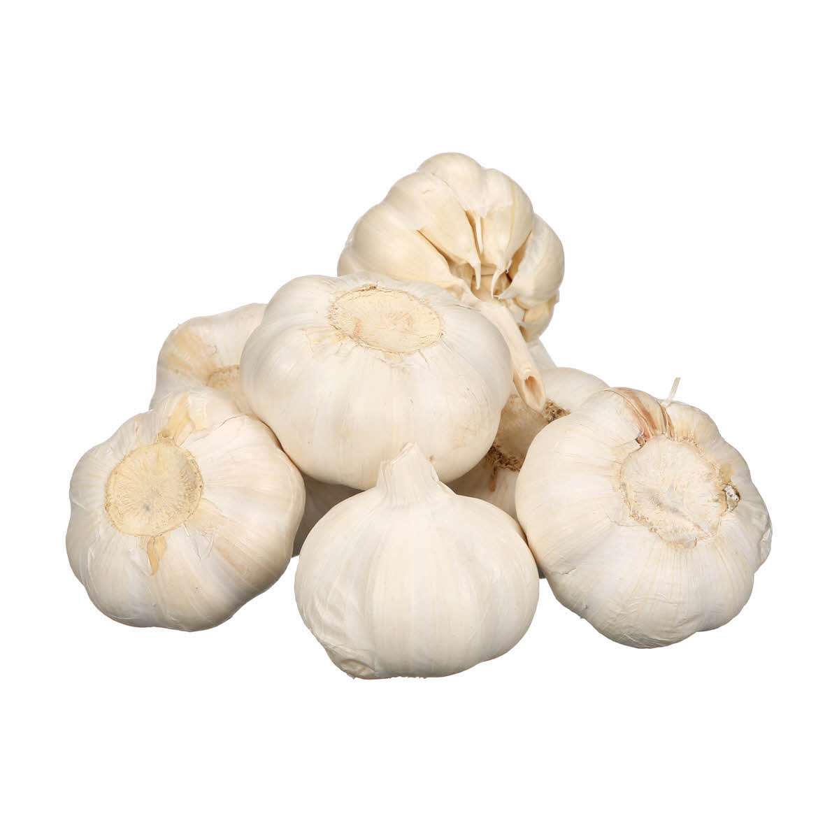 White Garlic_0