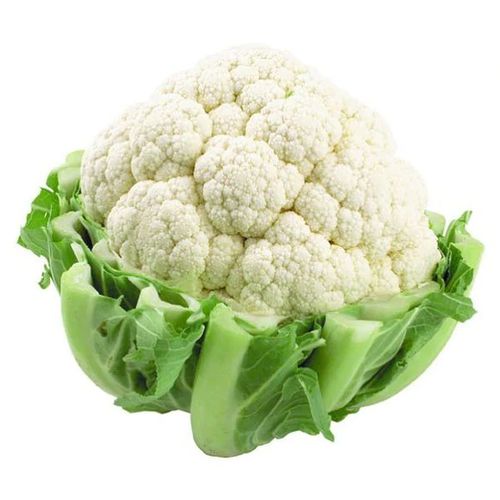 شفلور 1.5 kg