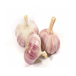 ثوم100g